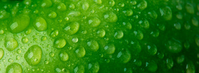 What does it mean to be a B Corporation?