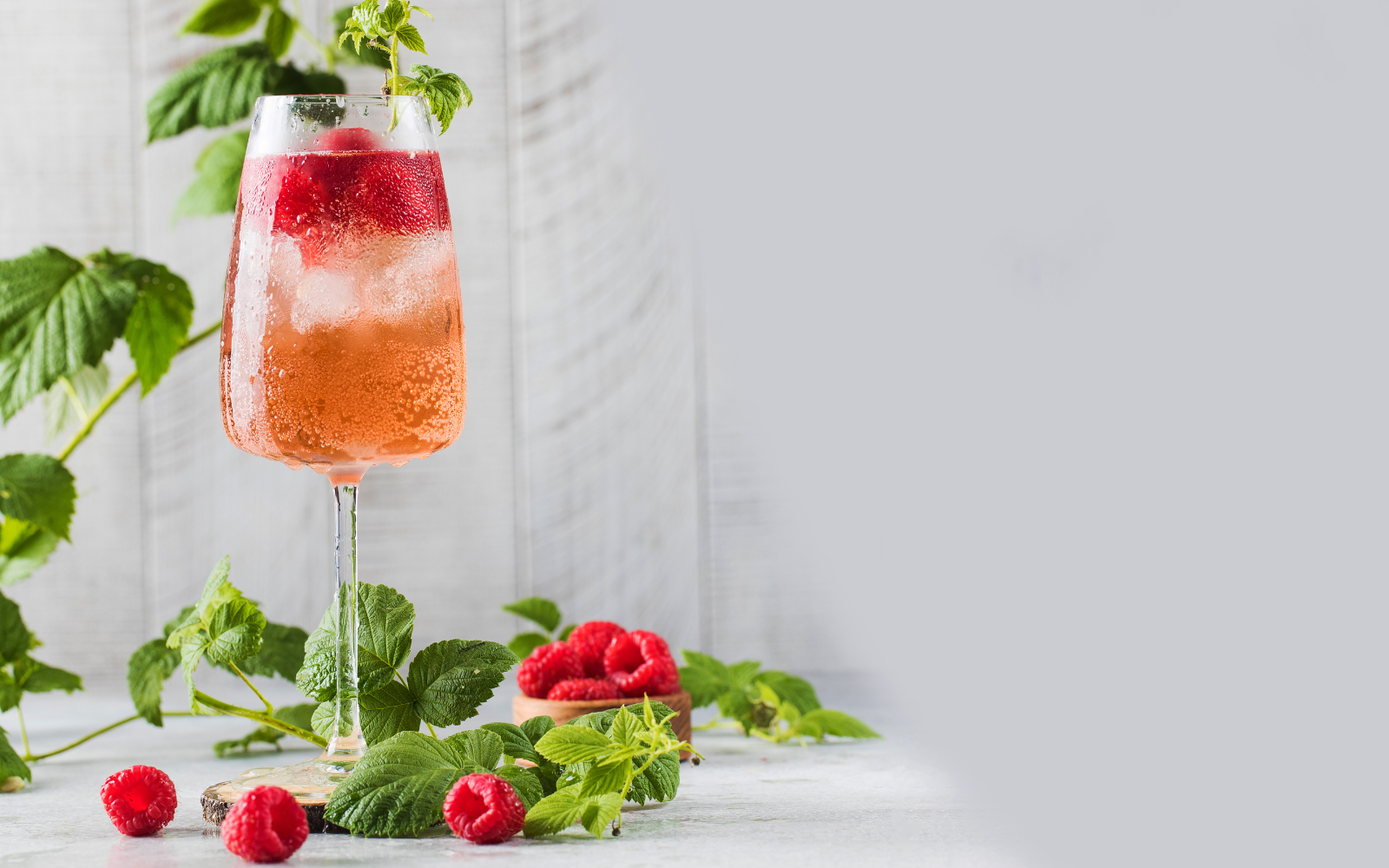 SLOE & RASPBERRY GIN FIZZ