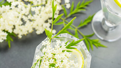Frobishers' Favourite Elderflower Cocktails