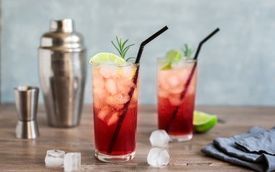 SLOE & RASPBERRY FIZZ